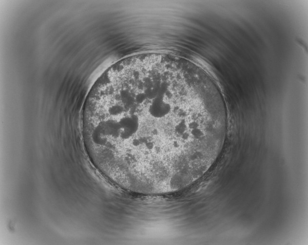 X0000102470907200809051330