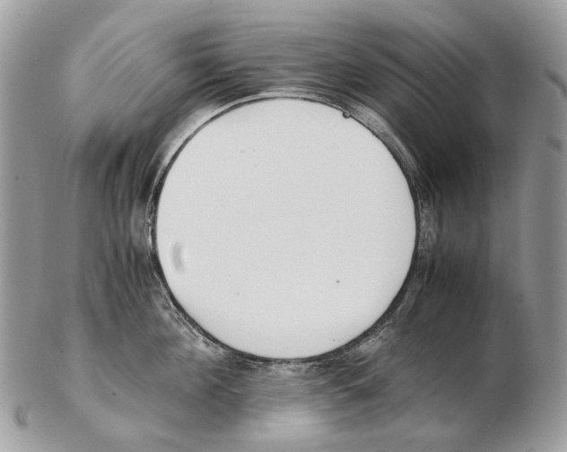 X0000102470908200809051330