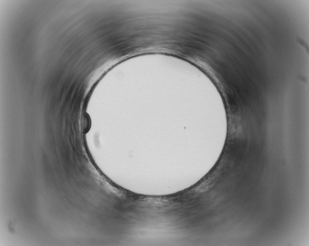 X0000102470910200809051330