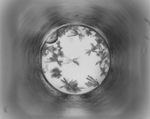 X0000102470911200809051330