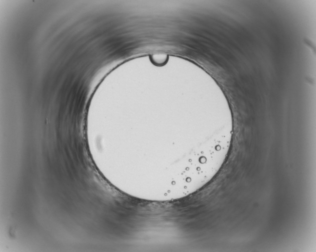 X0000102470912200809051330