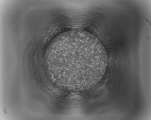 X0000102470913200809051329