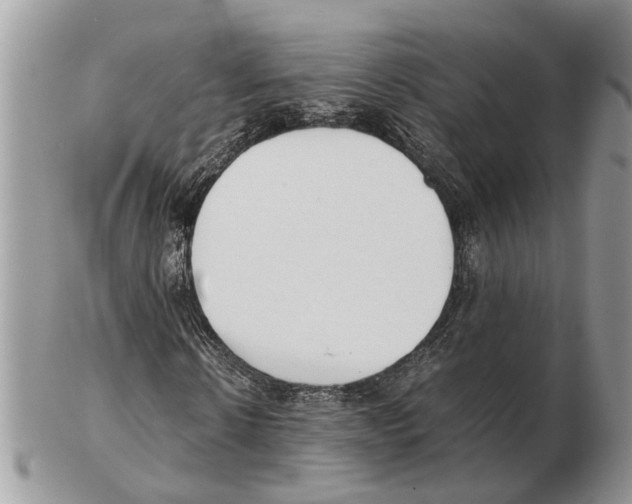 X0000102470914200809051329