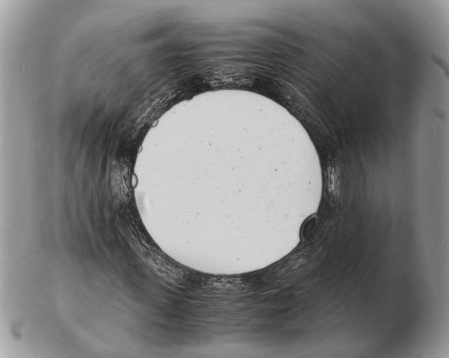 X0000102470915200809051329