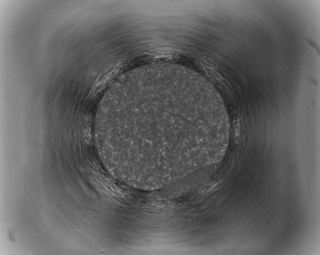 X0000102470916200809051329