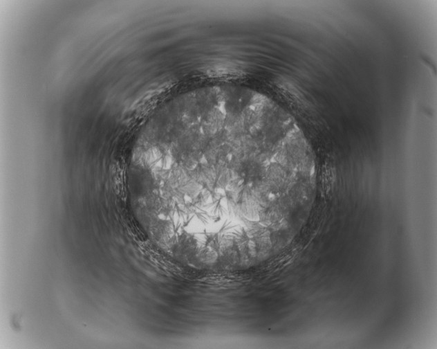 X0000102470917200809051329