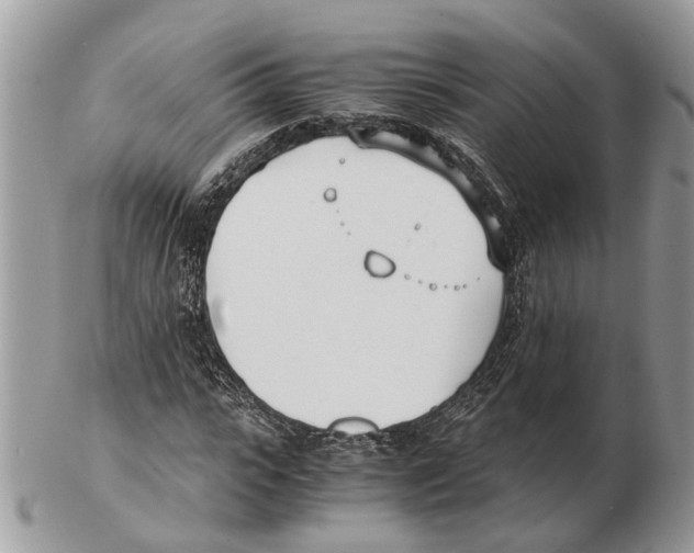 X0000102470919200809051329