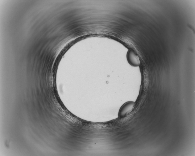 X0000102470924200809051330