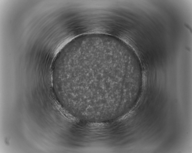 X0000102470925200809051330