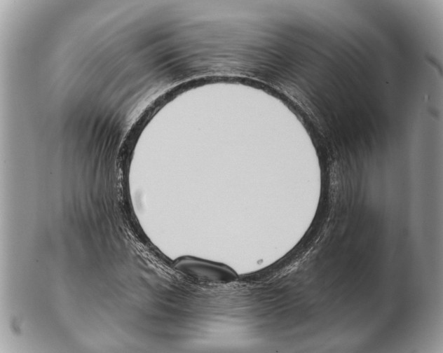 X0000102470926200809051330