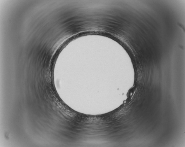 X0000102470927200809051330
