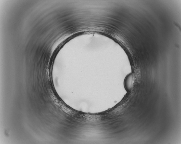 X0000102470928200809051330