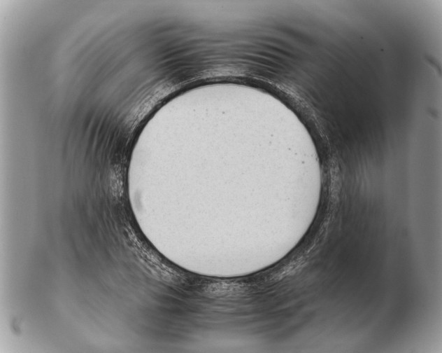 X0000102470929200809051330