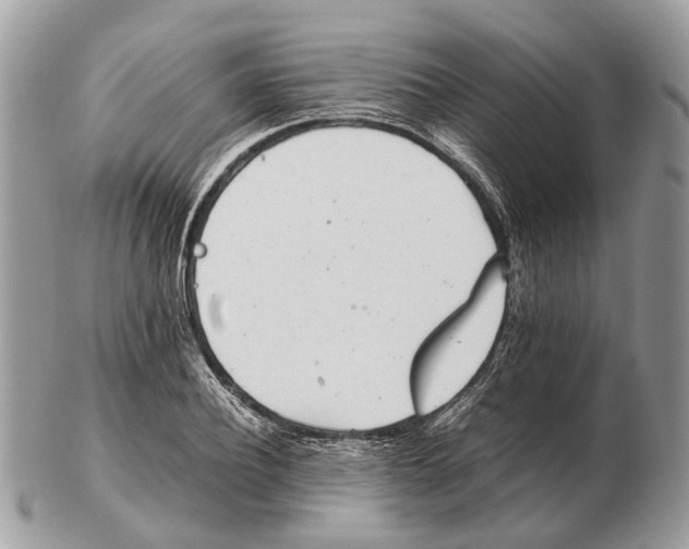 X0000102470932200809051330