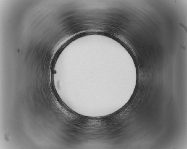 X0000102470935200809051330