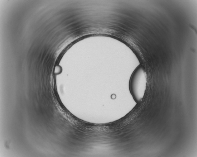 X0000102470936200809051330