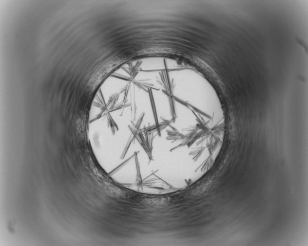 X0000102470937200809051330