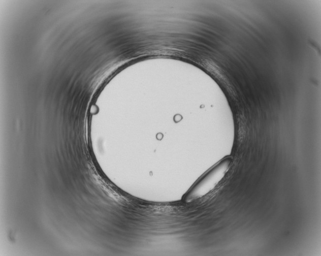 X0000102470940200809051330