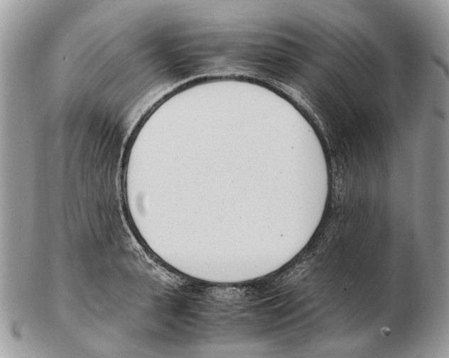 X0000102470943200809051330