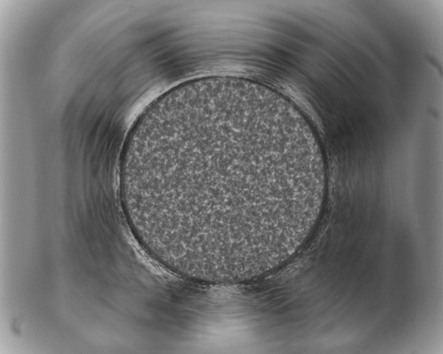 X0000102470944200809051330