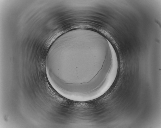 X0000102470945200809051330