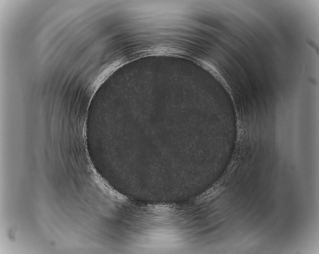 X0000102470946200809051330