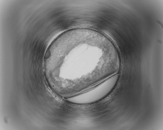 X0000102470948200809051330