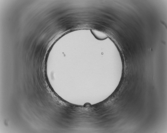 X0000102470949200809051330
