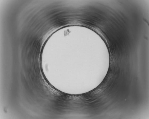 X0000102470951200809051330