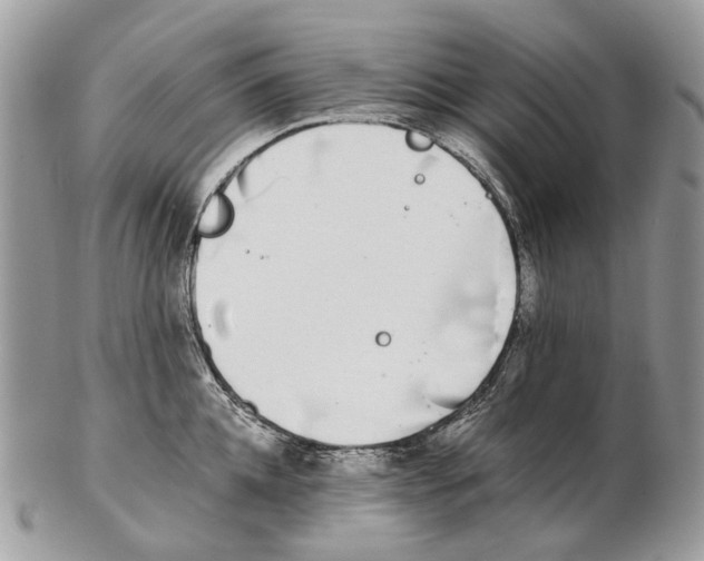 X0000102470952200809051330