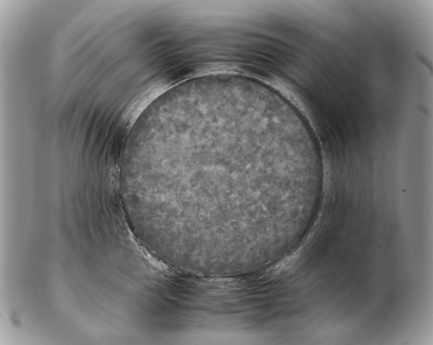 X0000102470953200809051330