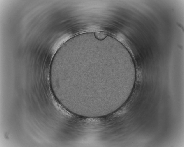 X0000102470954200809051330