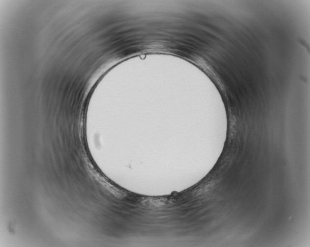 X0000102470955200809051330