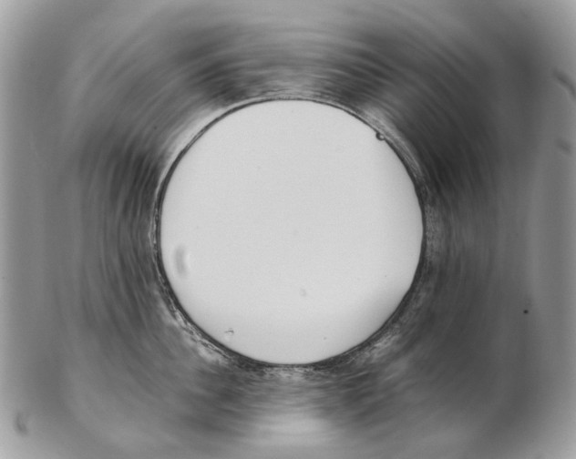 X0000102470956200809051330