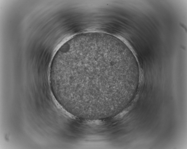 X0000102470957200809051330