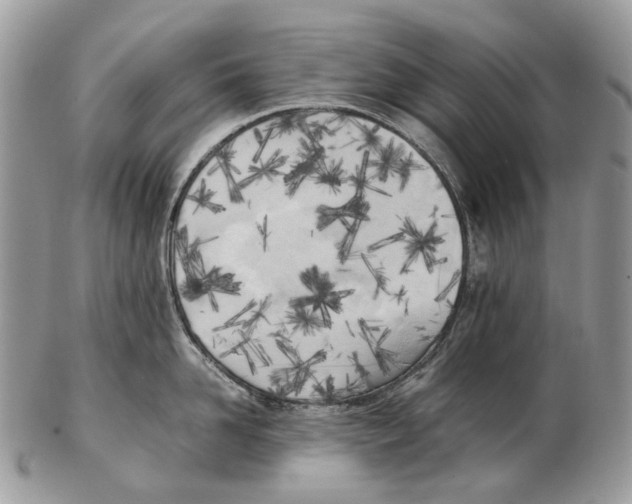 X0000102470958200809051330