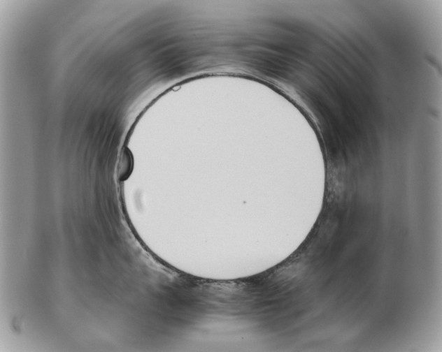 X0000102470959200809051330