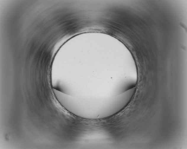 X0000102470960200809051330