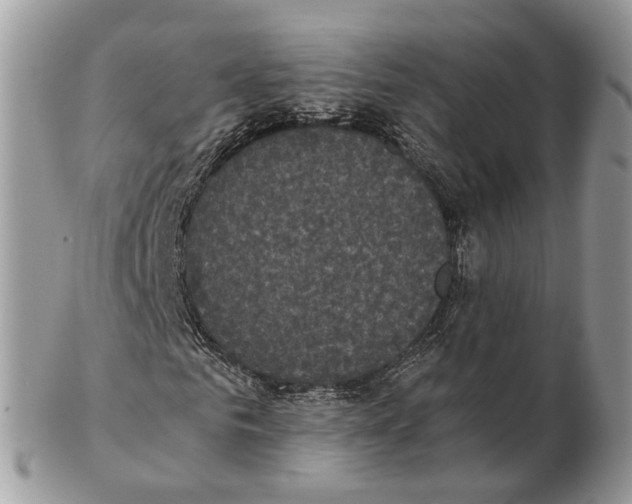 X0000102470961200809051329