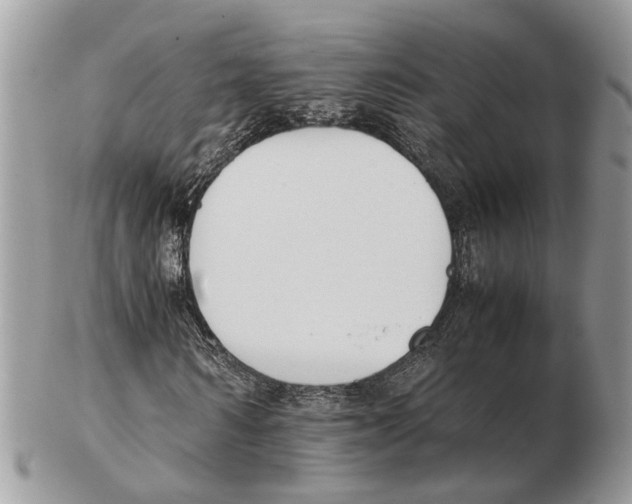 X0000102470962200809051329