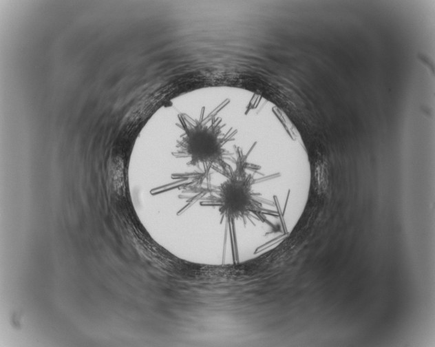 X0000102470963200809051329