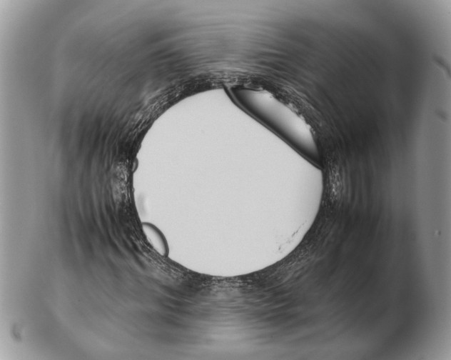 X0000102470964200809051329