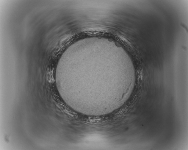 X0000102470965200809051329