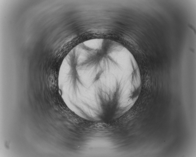 X0000102470966200809051329
