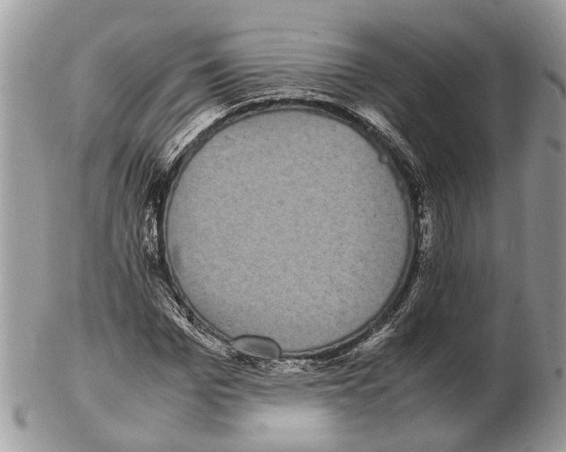 X0000102470969200809051329