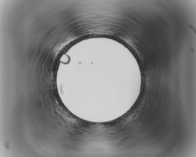 X0000102470971200809051329
