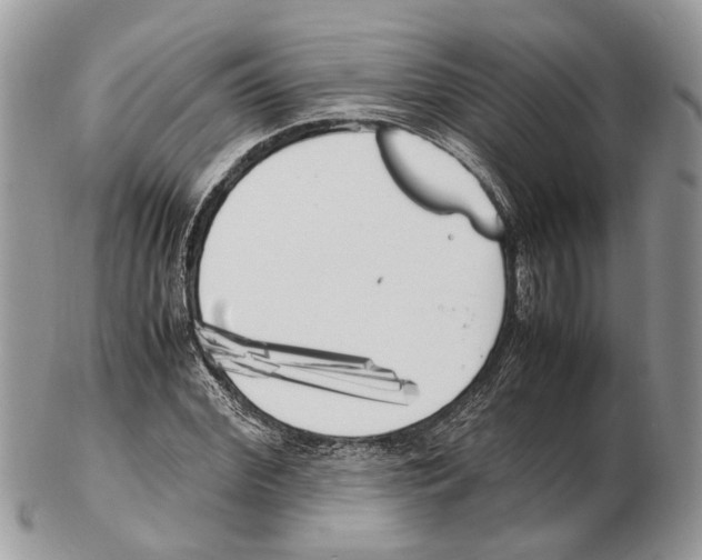 X0000102470972200809051329