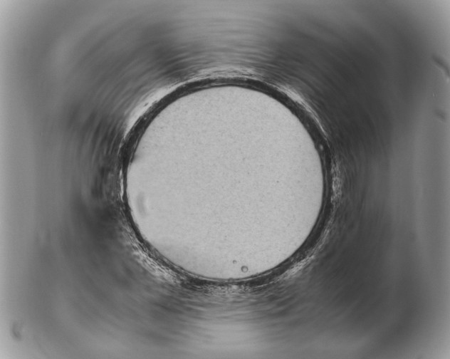 X0000102470973200809051329