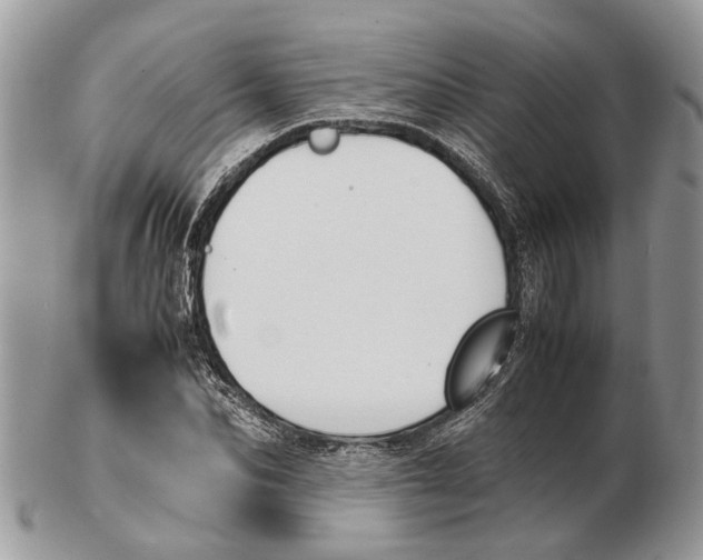 X0000102470974200809051329