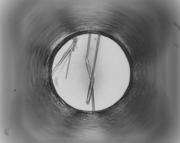 X0000102470975200809051329